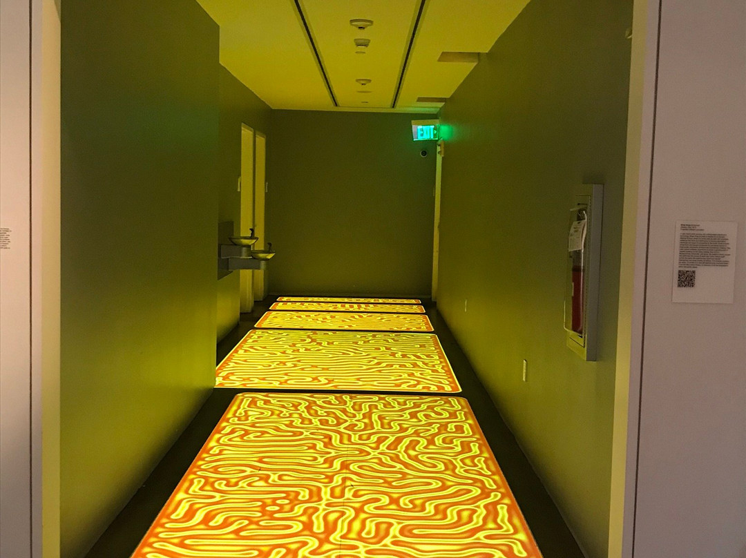 阁辛辛那提 21c 博物馆酒店主图