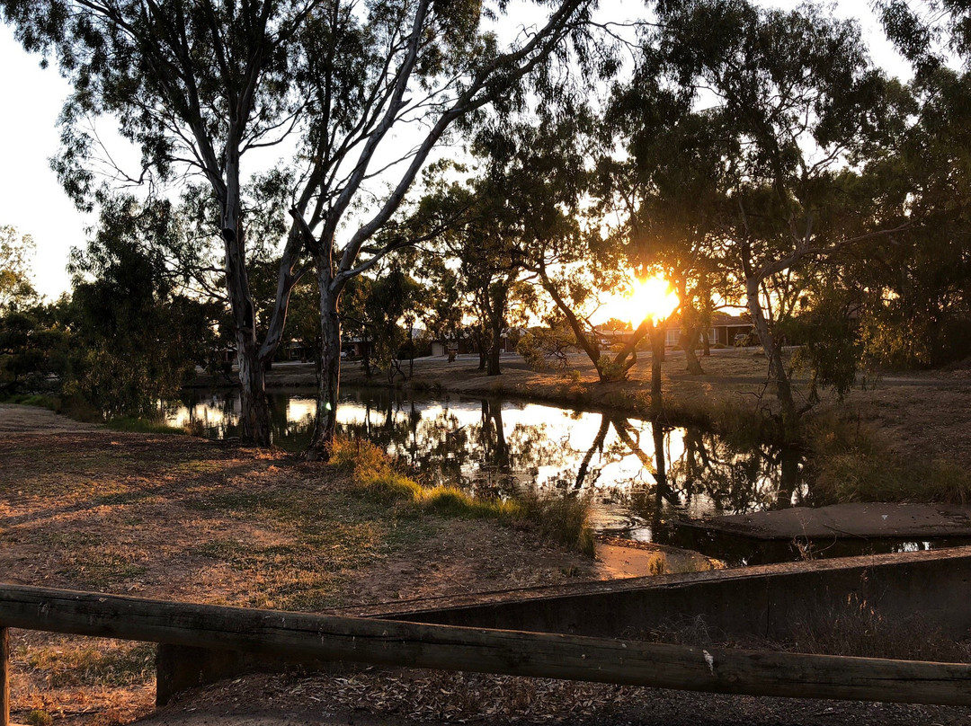 Horsham Weir to Baillie Street River Walk景点图片