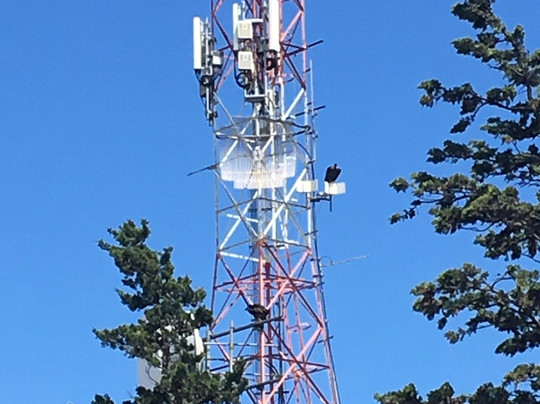 Observatorio Astronómico Bosque Alegre-Falda del Carmen必去景点