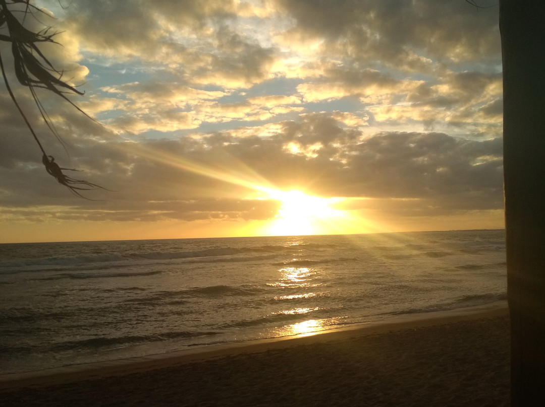 Playa Los Botes-La Paloma必去景点