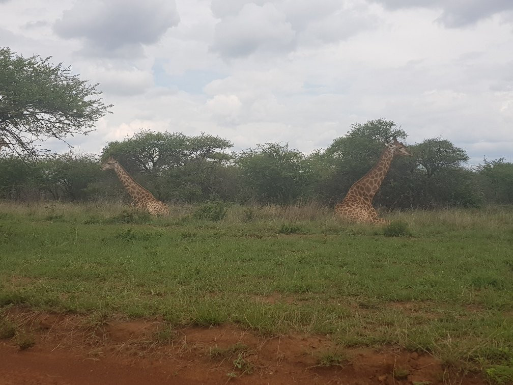 Sondela Nature Reserve Accommodation主图