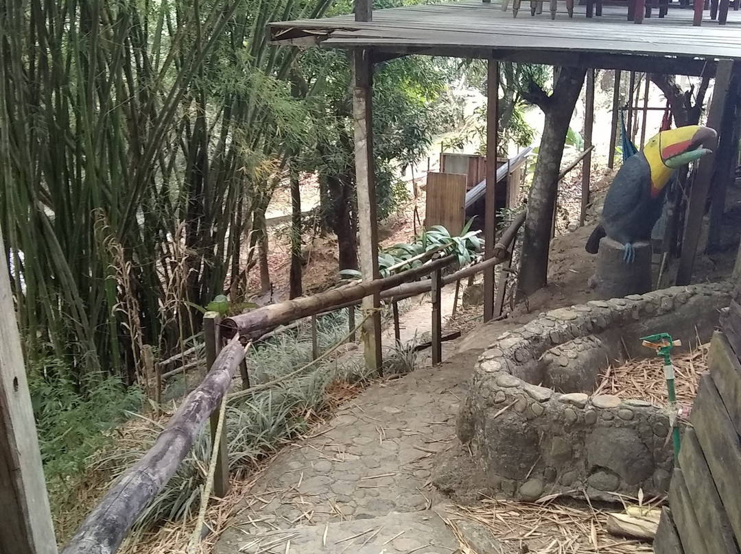 Hotel Ecopoint Minca主图