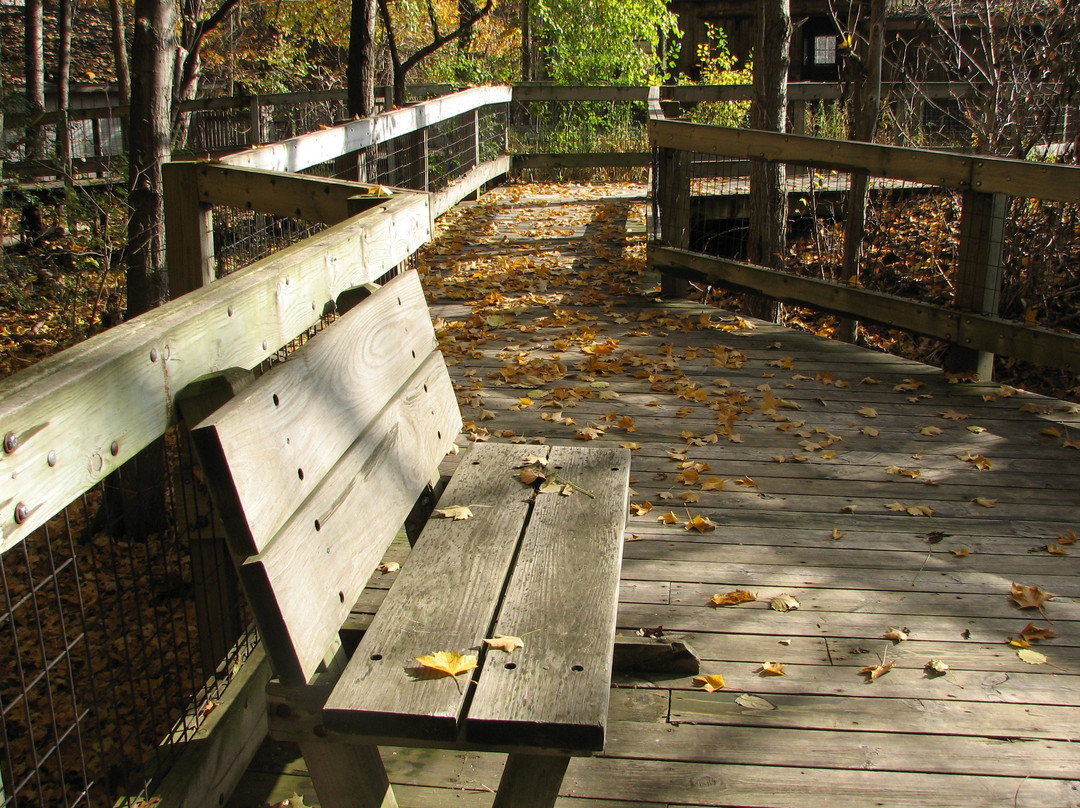 Blandford Nature Center-大急流市必去景点