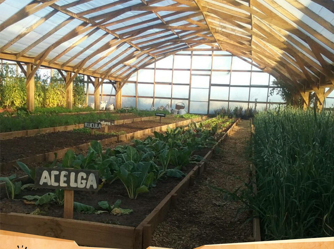 Agricola Anka Mapu-San Clemente必去景点