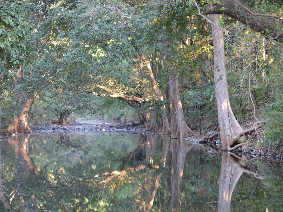 MelGhat Tiger Reserve景点图片