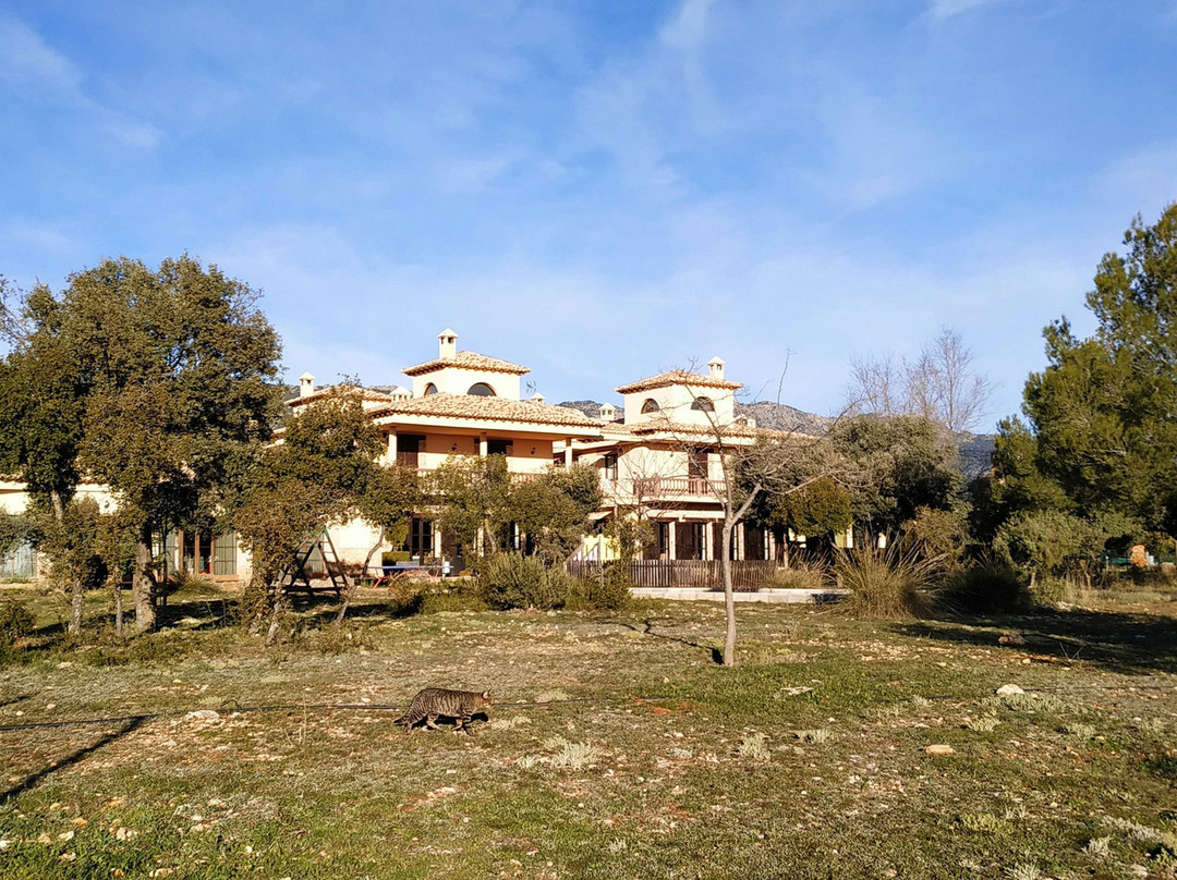 Hotel Rural Los Nogales主图