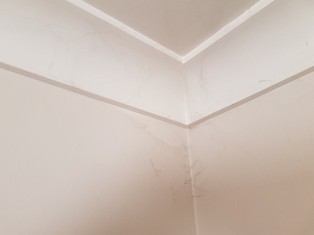 Hotel Motel Taieri