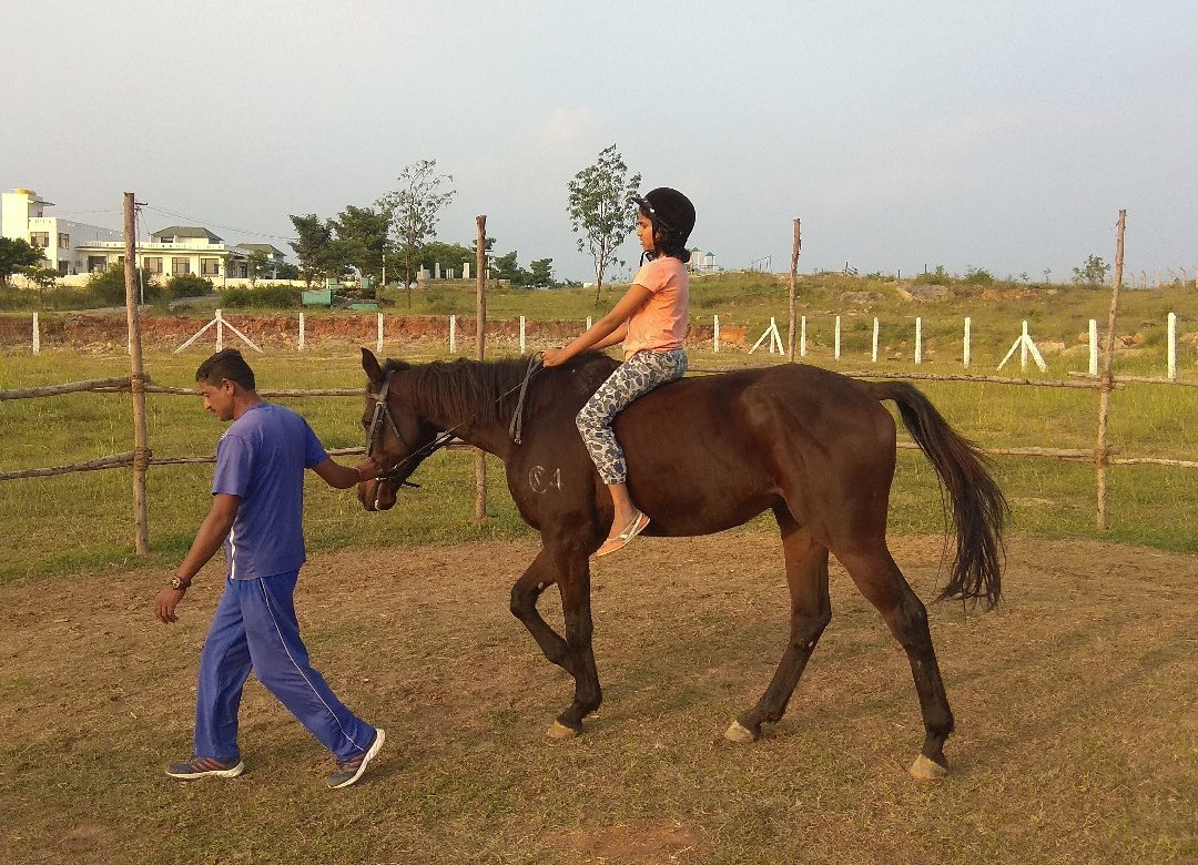 Stallion's Valley景点图片