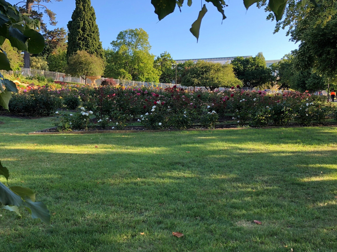 University Rose Garden景点图片