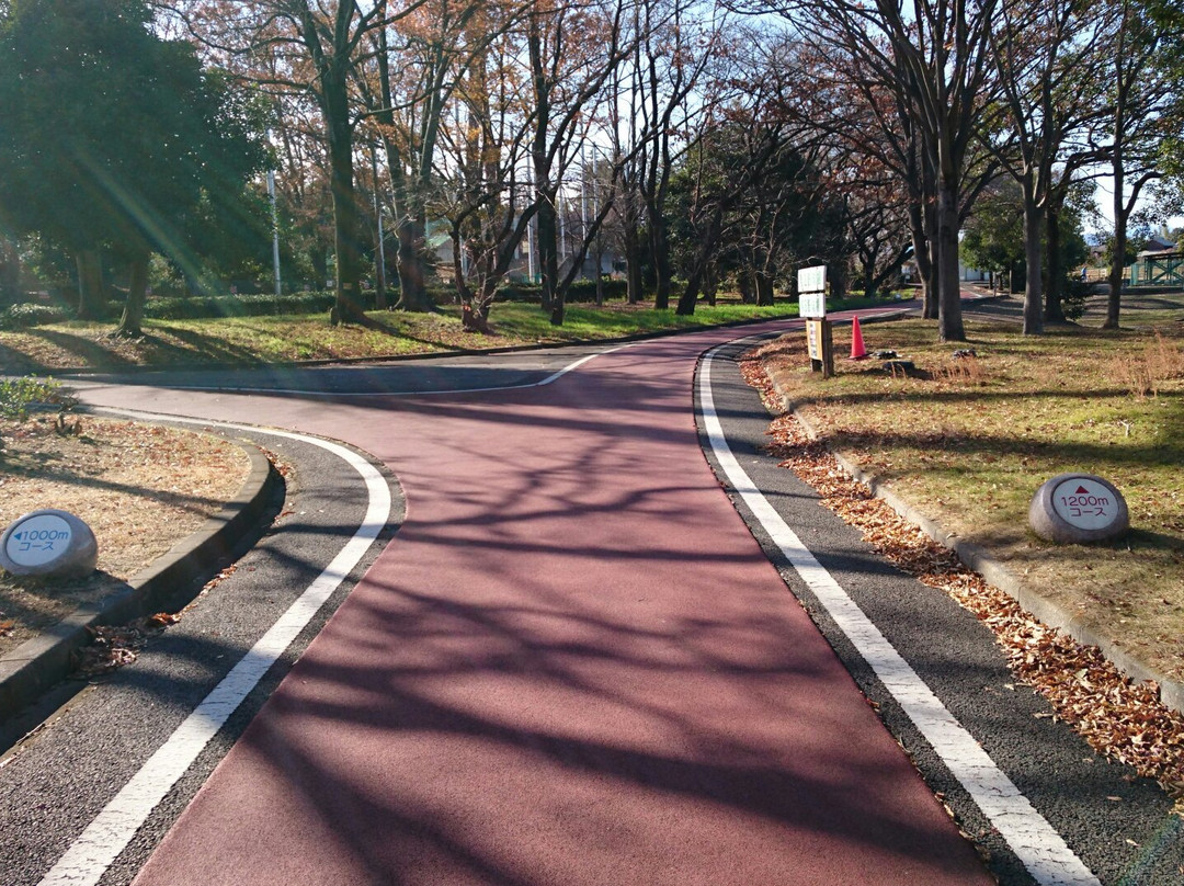 Kumagaya Sakura Sports Park-熊谷市必去景点