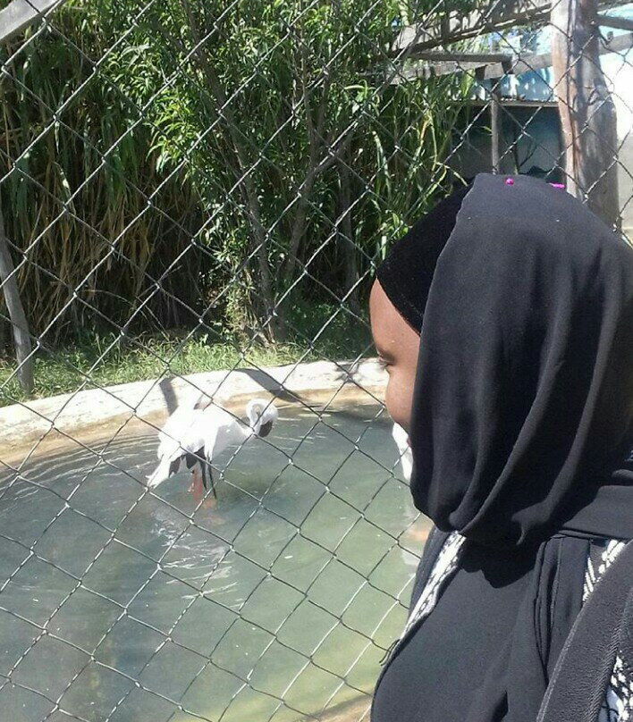 Ifisi Community Centre主图