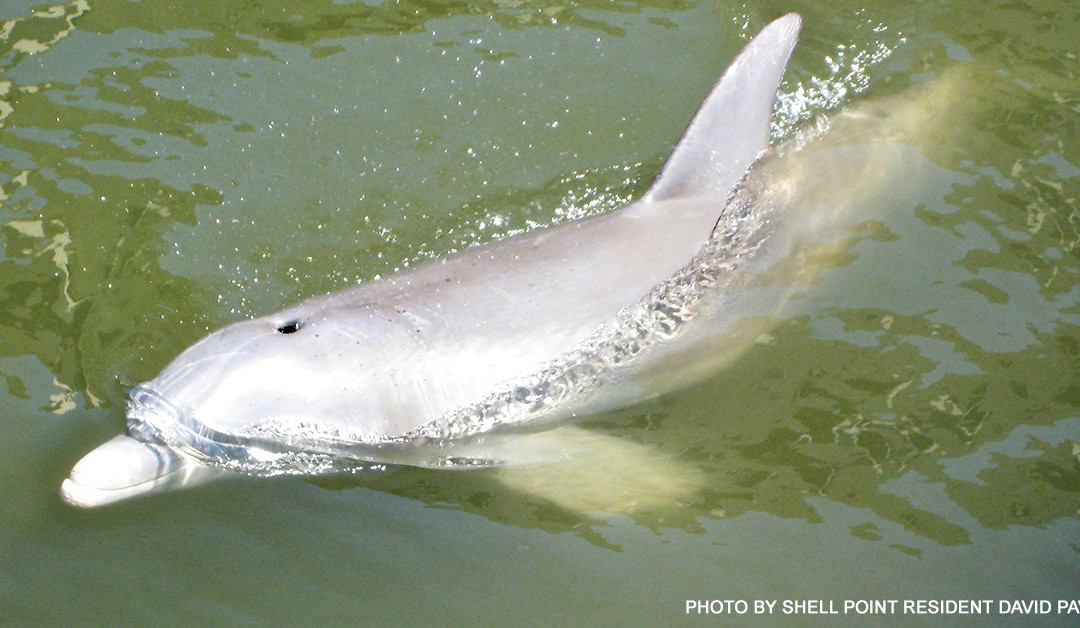 Guest House at Shell Point主图