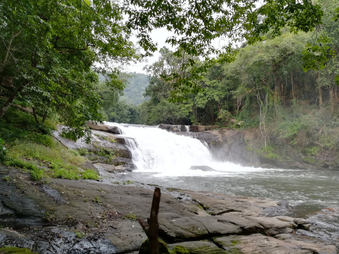Thomankuthu  Falls景点图片