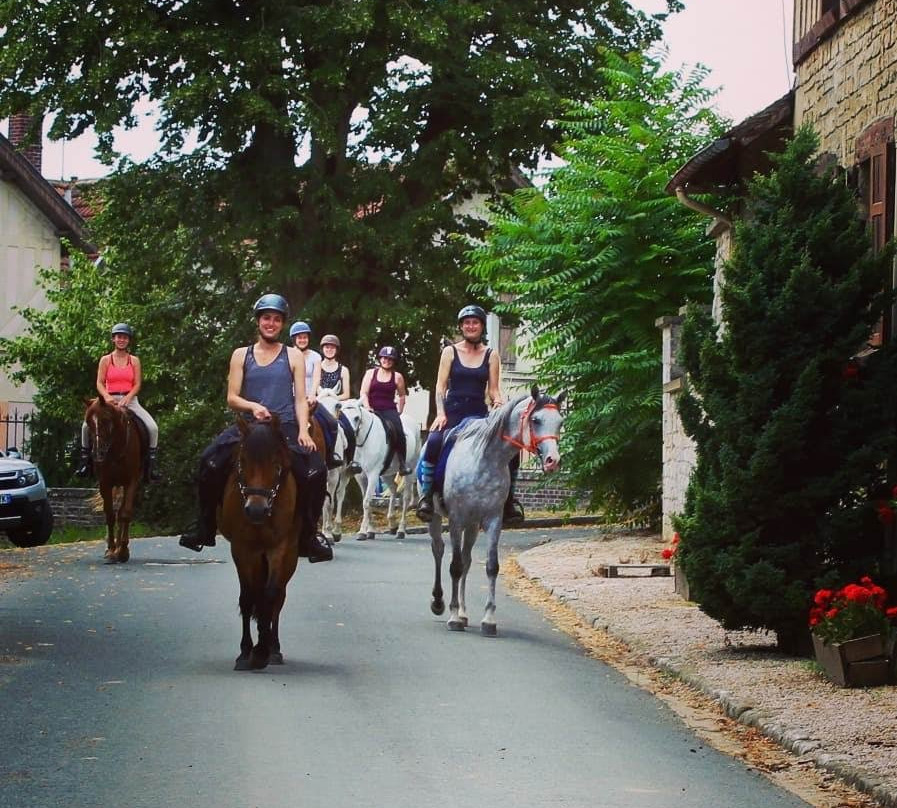 Écuries ALF-Chamant必去景点