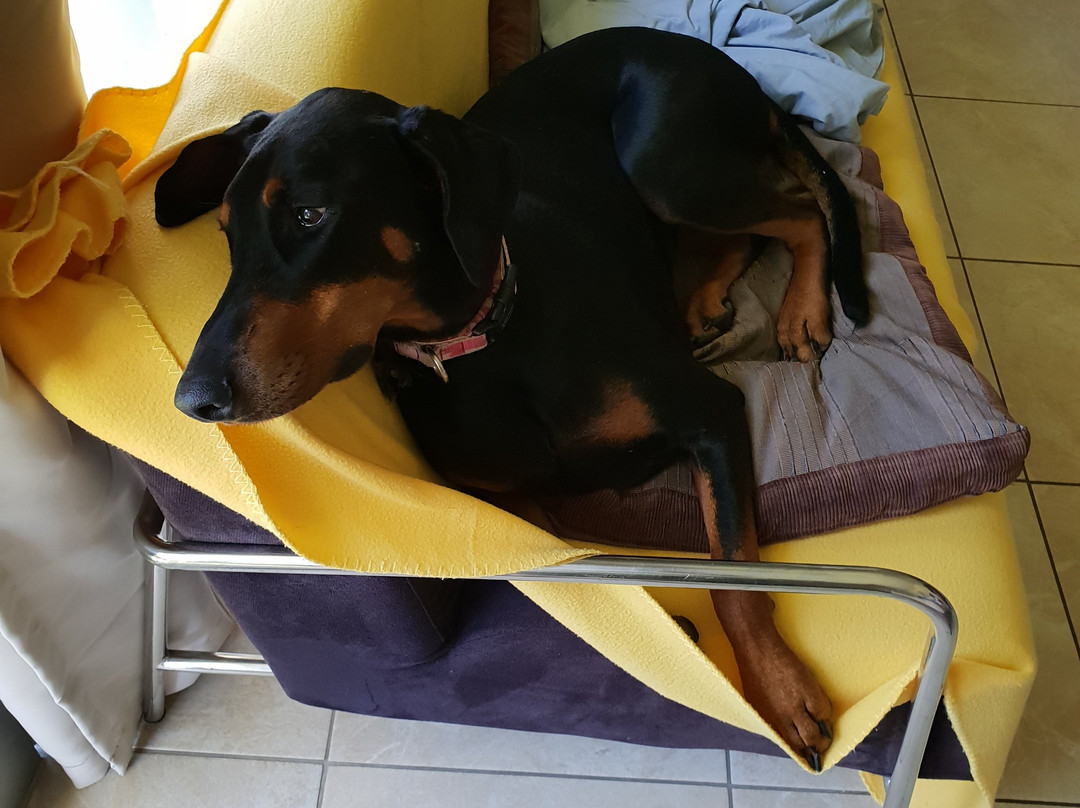 Jadran Motel & El Jay Holiday Lodge主图