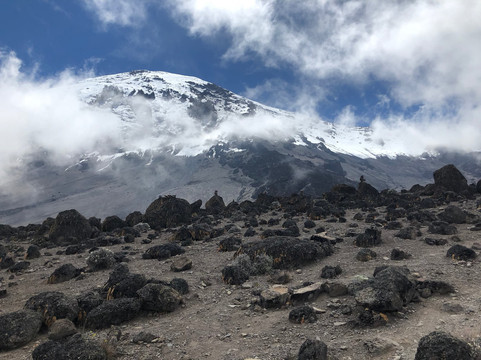 Pamoja Kilimanjaro & Safaris