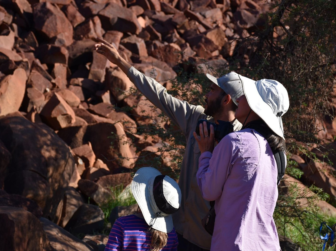 Experience Murujuga-Dampier必去景点