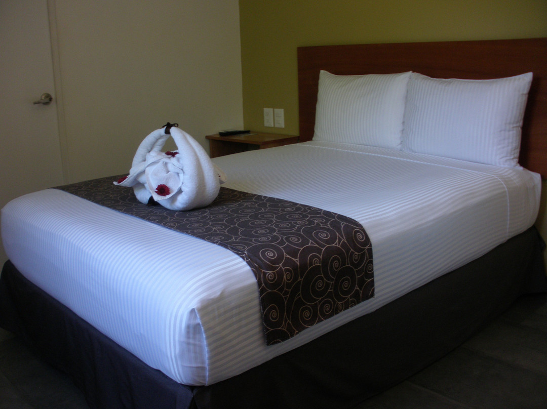 AM Hotel & Plaza主图