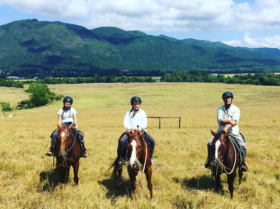 Reinsdown Horse Riding-Tully必去景点