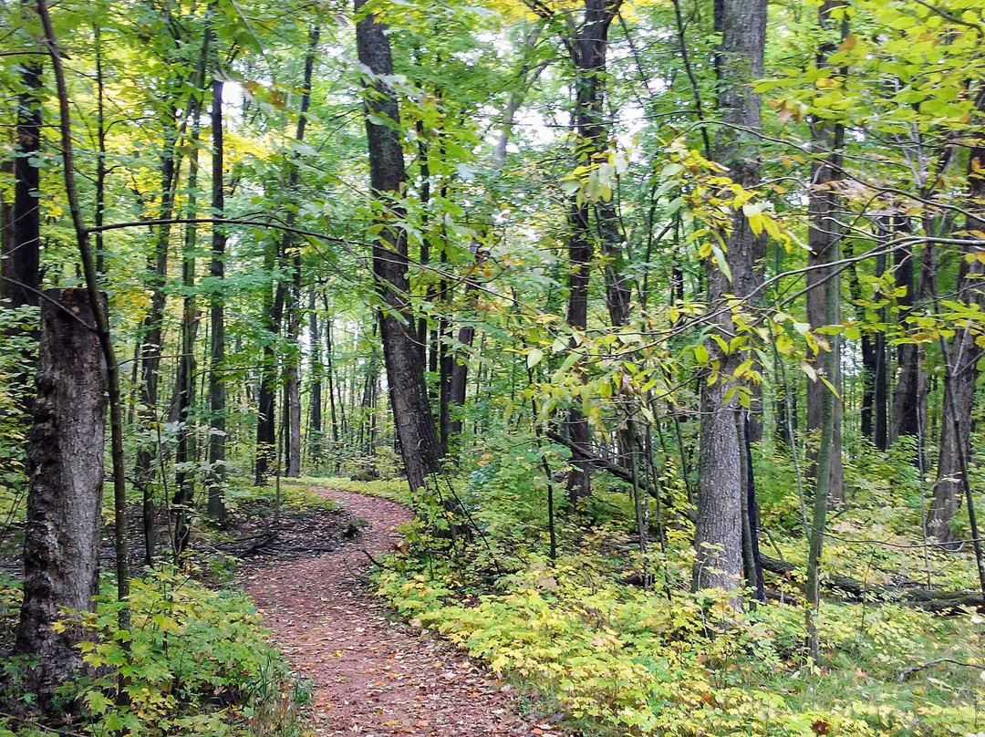 Wildwood Zoo-Marshfield必去景点