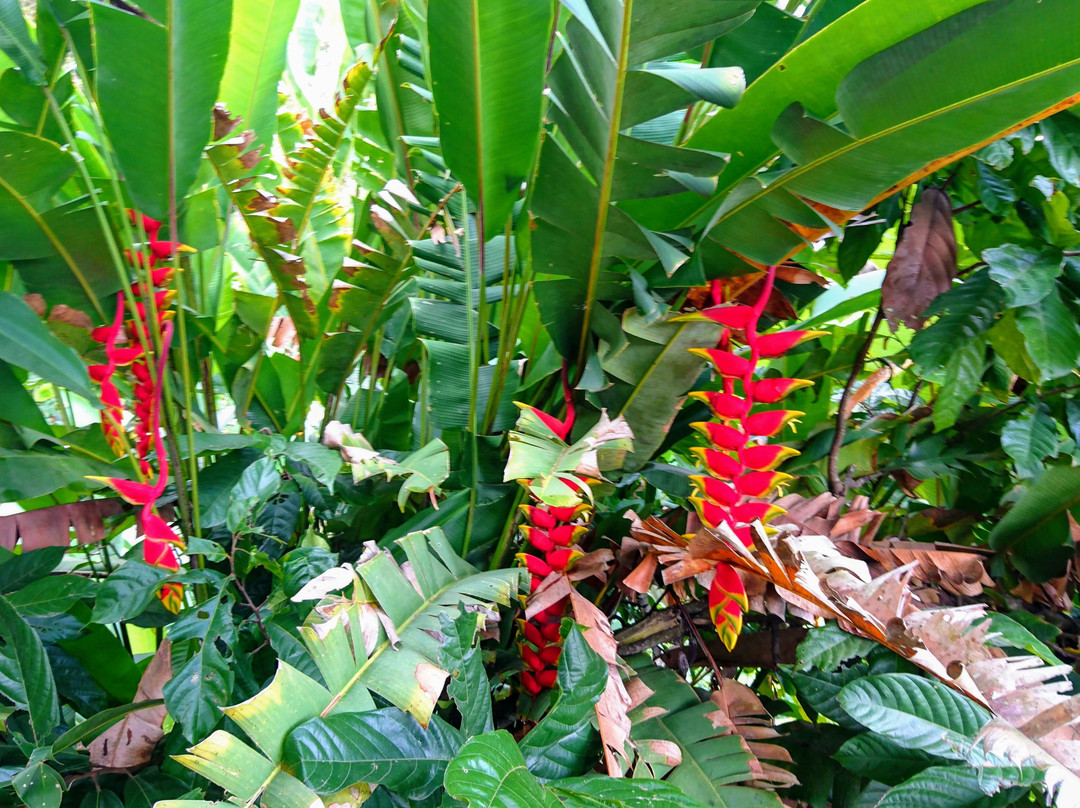 Beraban旅游景点-One Bali Agrowisata