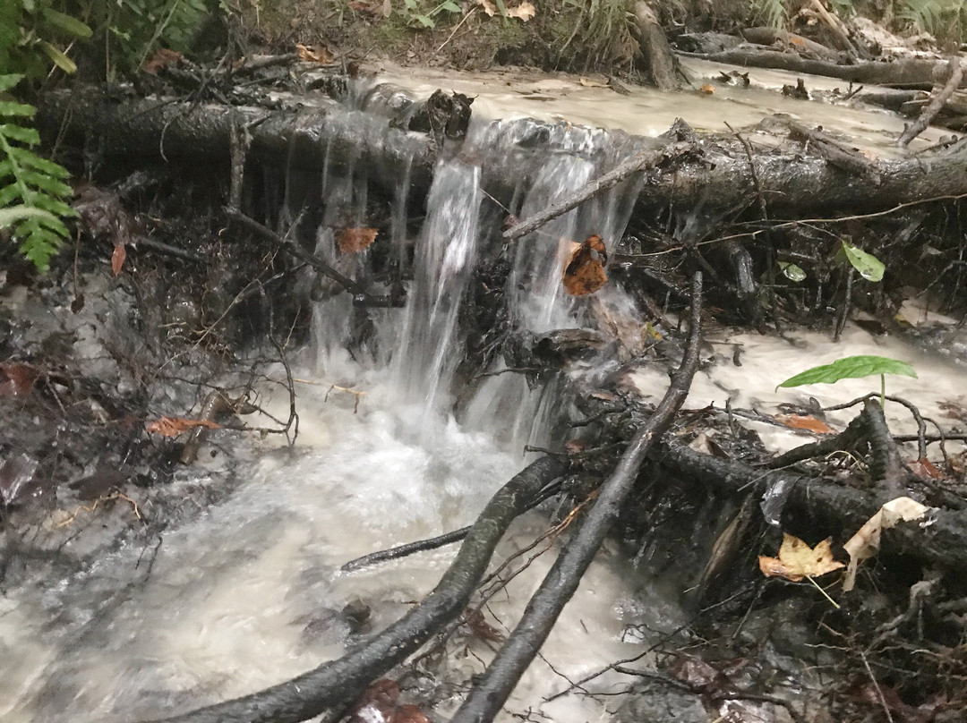 Hidden Waters Preserve-Eustis必去景点