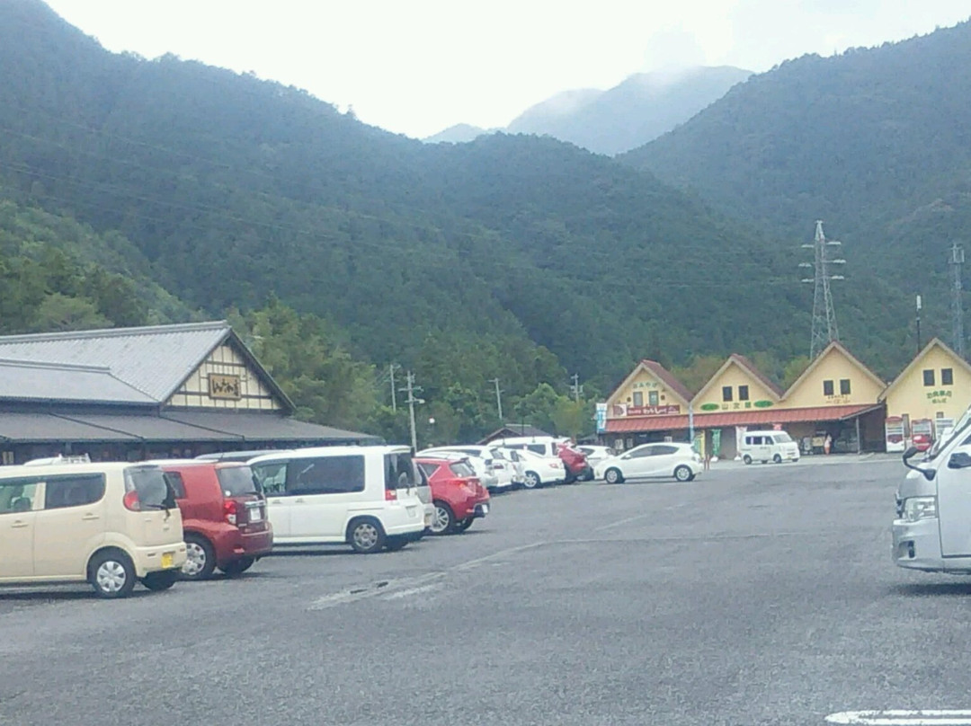 Michi-no-Eki Iitaka景点图片