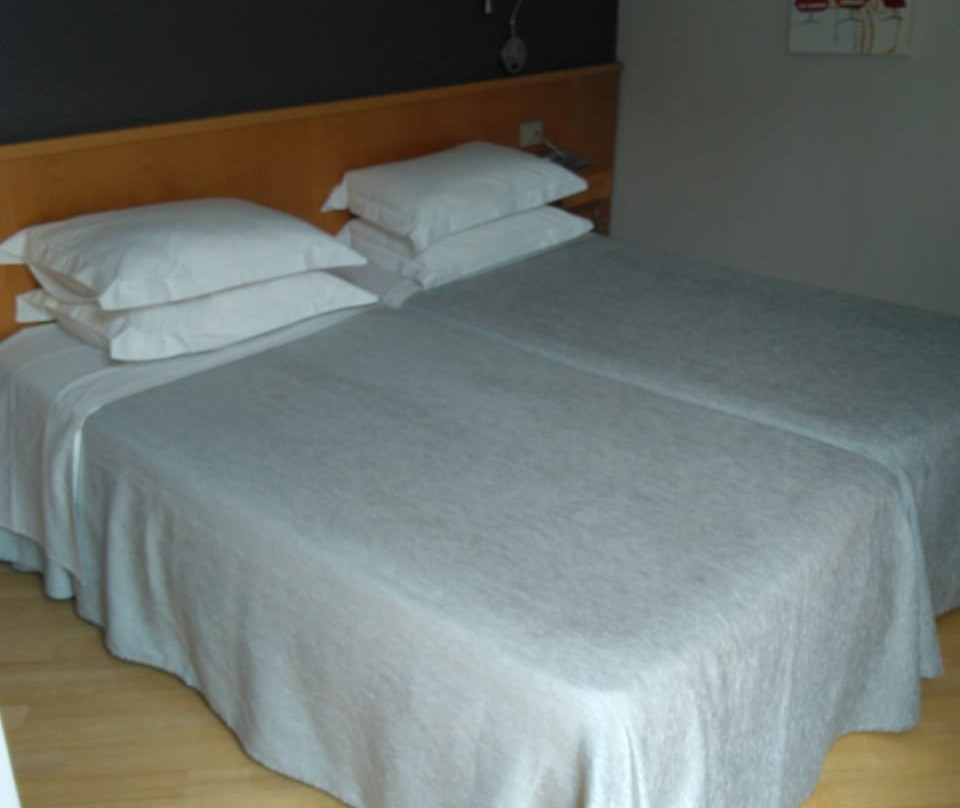 Hotel Restaurante Zarampallo主图