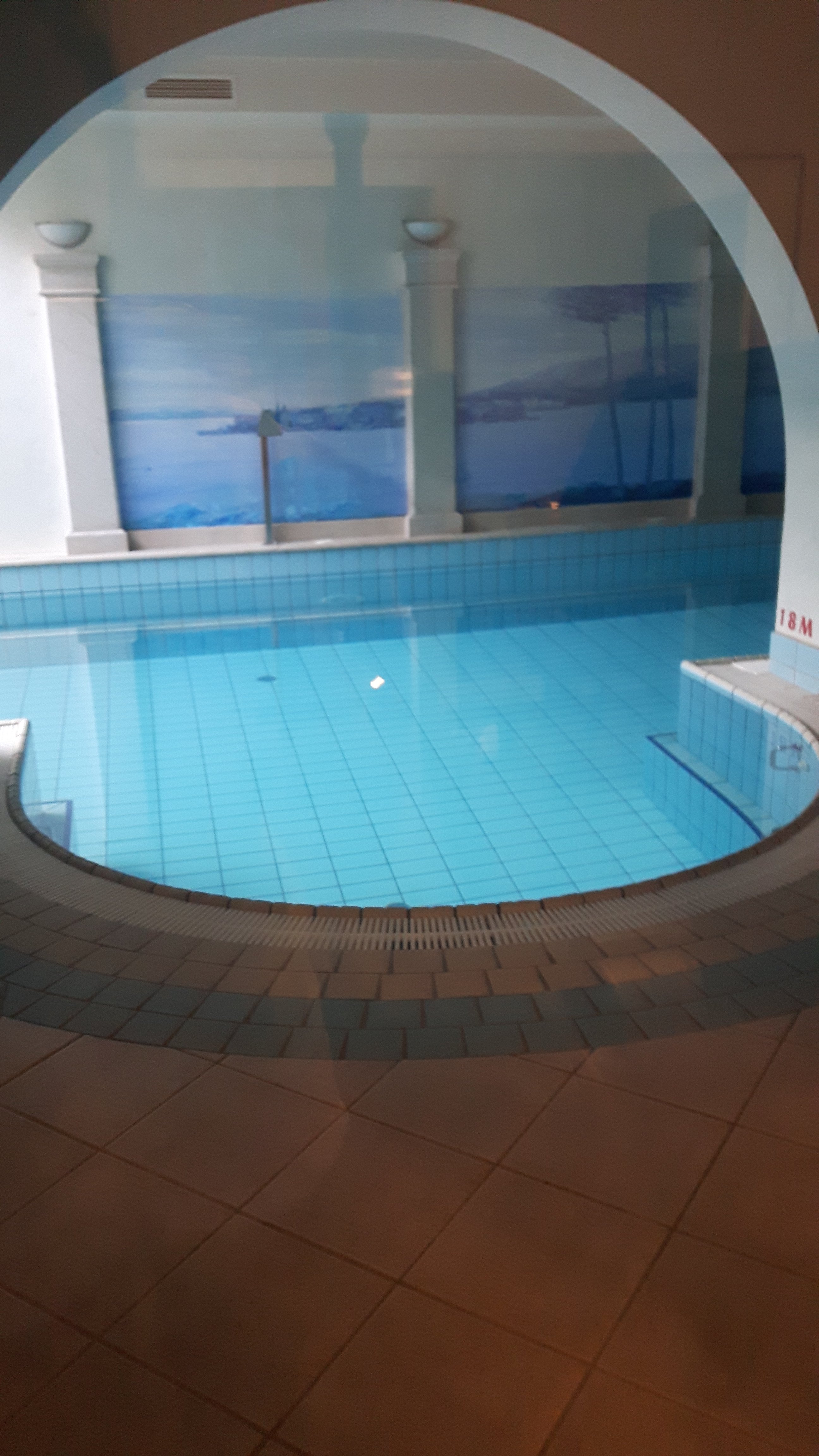 Hotel Villa Marija-泳池
