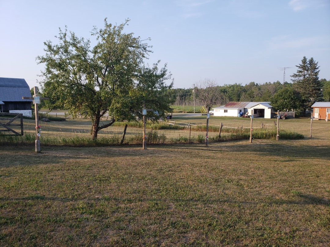 Greensides Farm, Our Lady Of Marmora景点图片