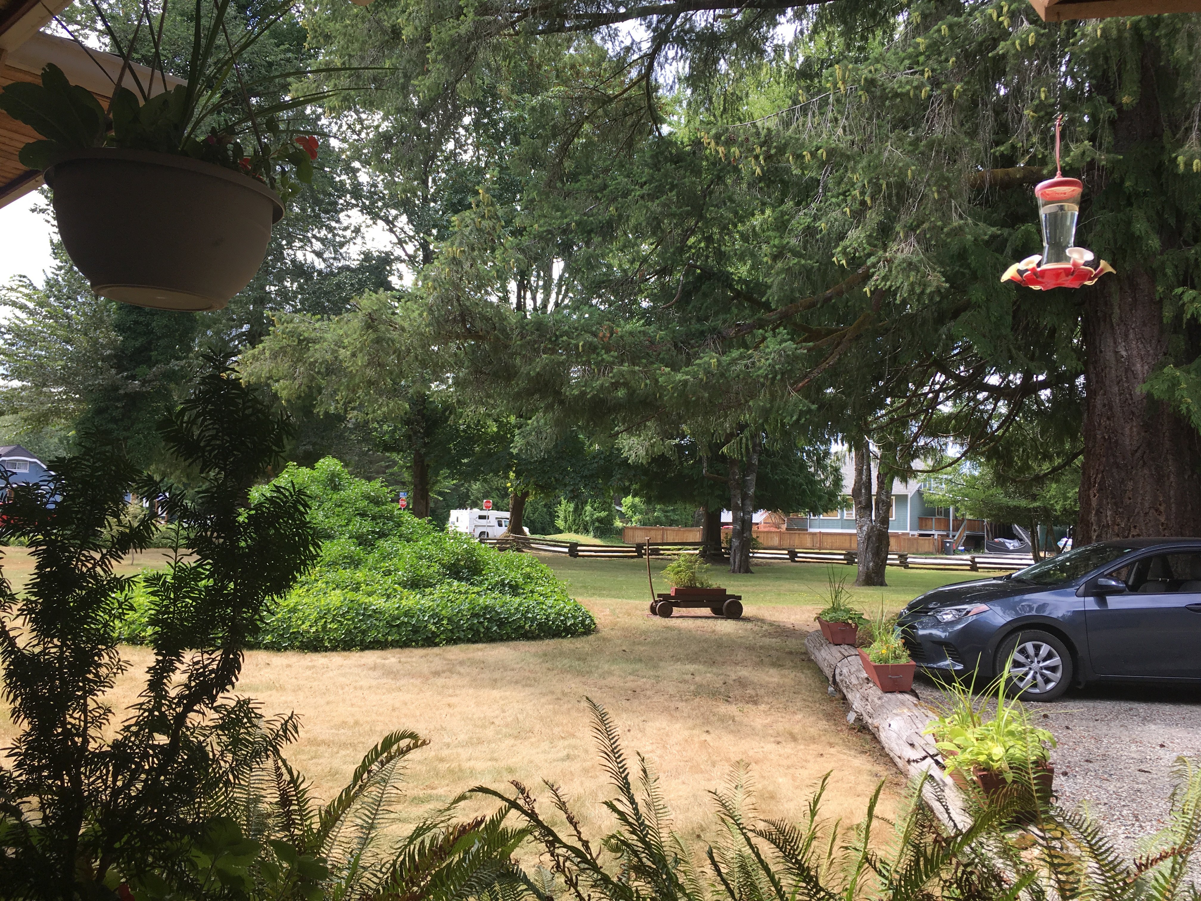 Cedar Wood Lodge Bed & Breakfast Inn & Conference Center-浴室