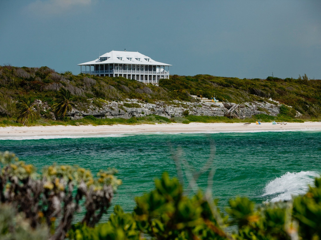 The Delphi Club主图