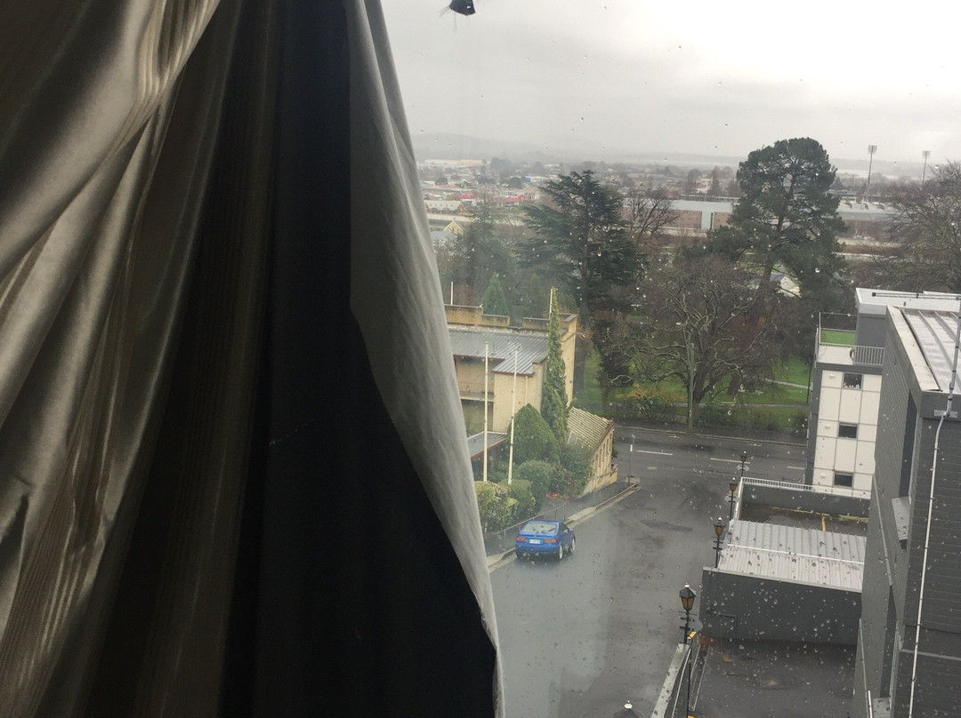 Areca Launceston主图