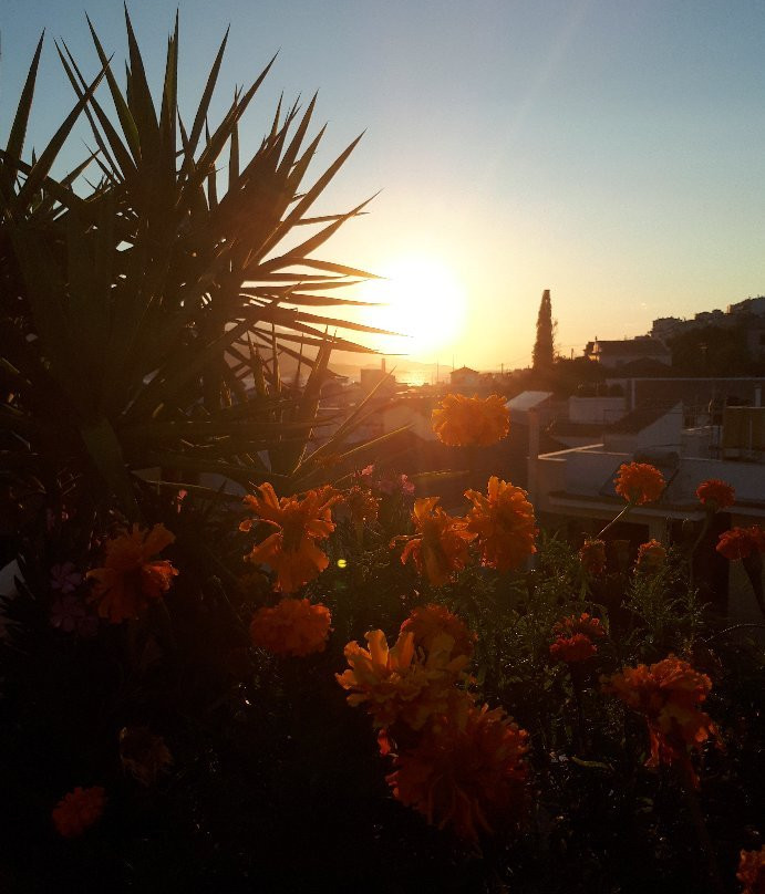 Hotel Odysseas主图