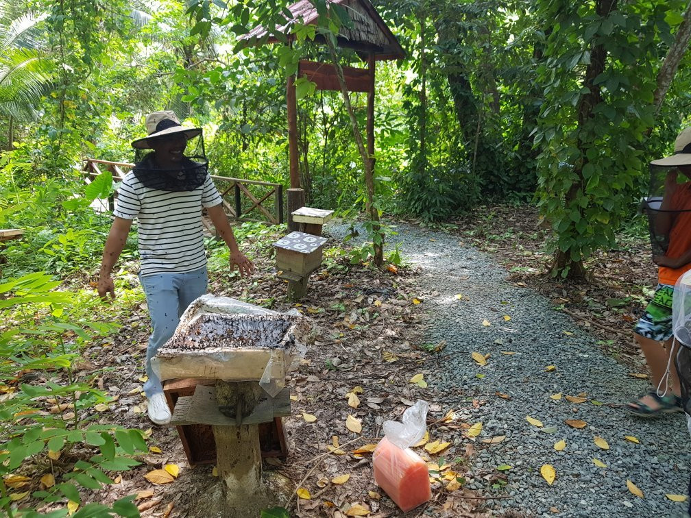 Borneo Honeybee Centre景点图片