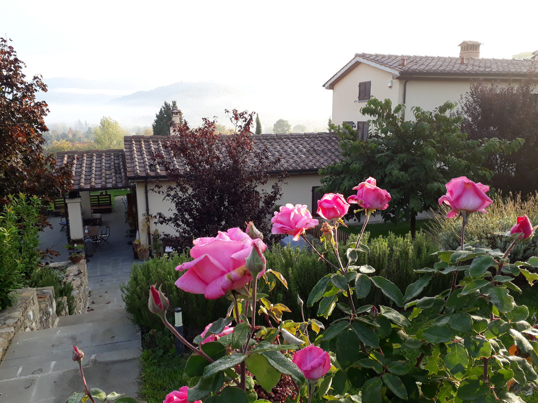 B&B Casina Stella主图