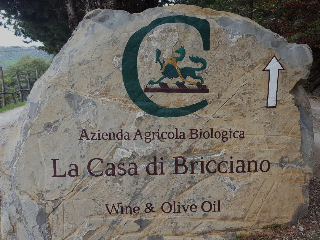 La Casa di Bricciano - Azienda Agricola Biologica - Organic winery景点图片