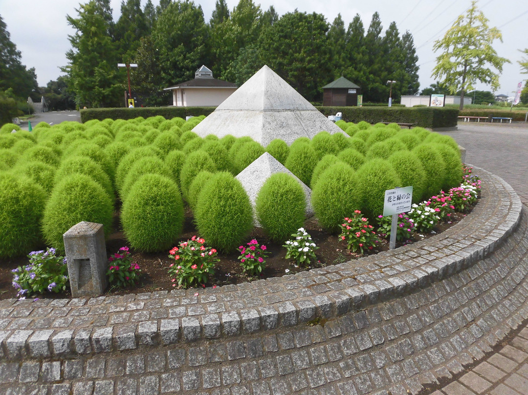 Kazo Hanasaki Water Park-加须市必去景点