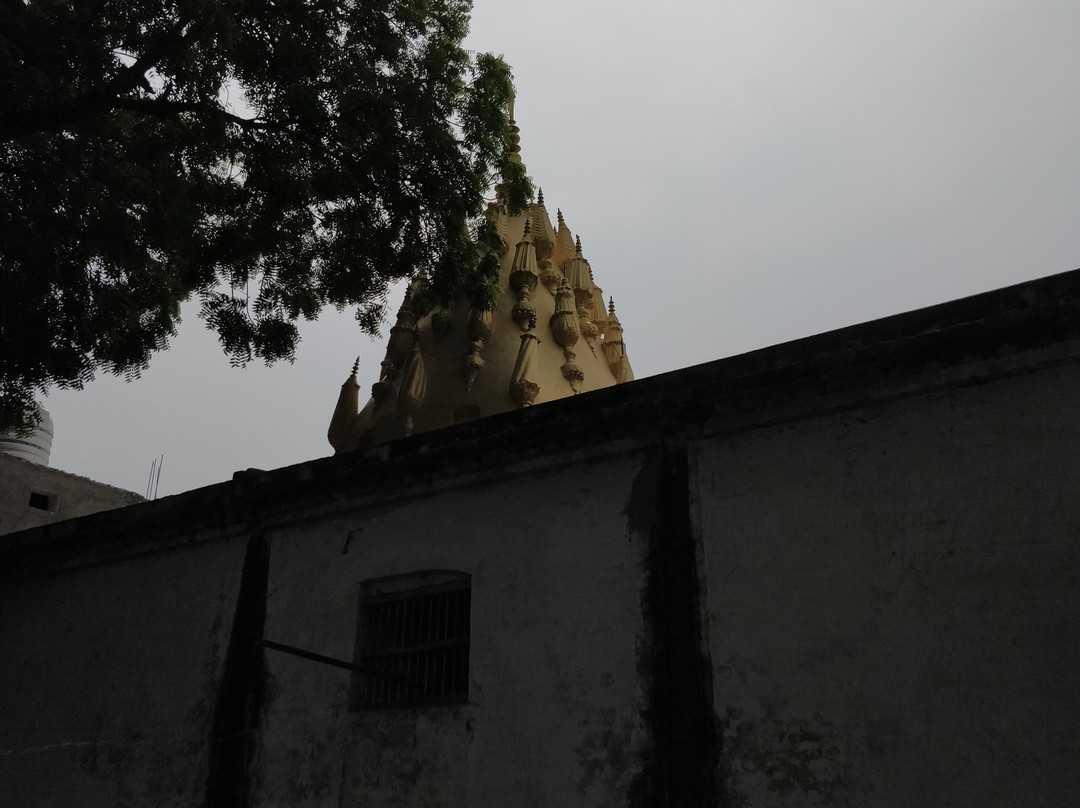 Sri Devaraja Perumal Temple景点图片