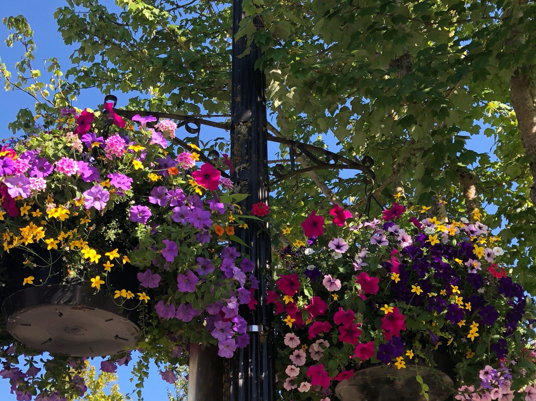 Riverfront Commemorative Park-科瓦利斯必去景点