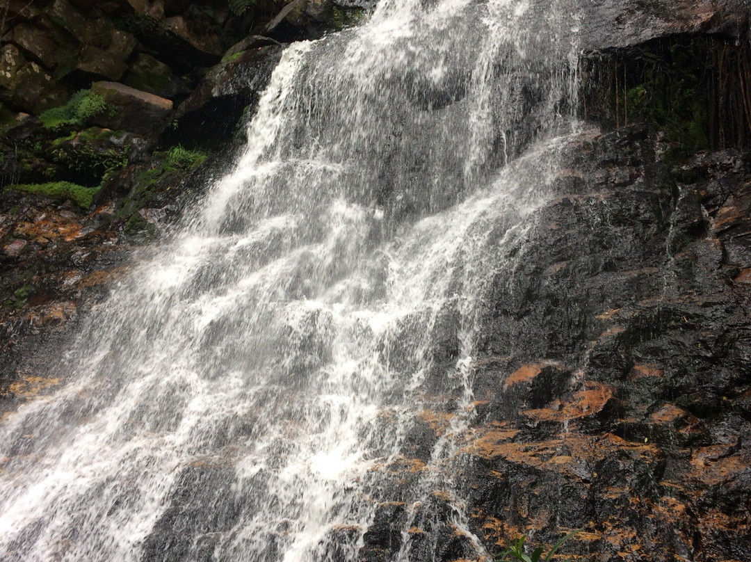 Cascada la Honda景点图片