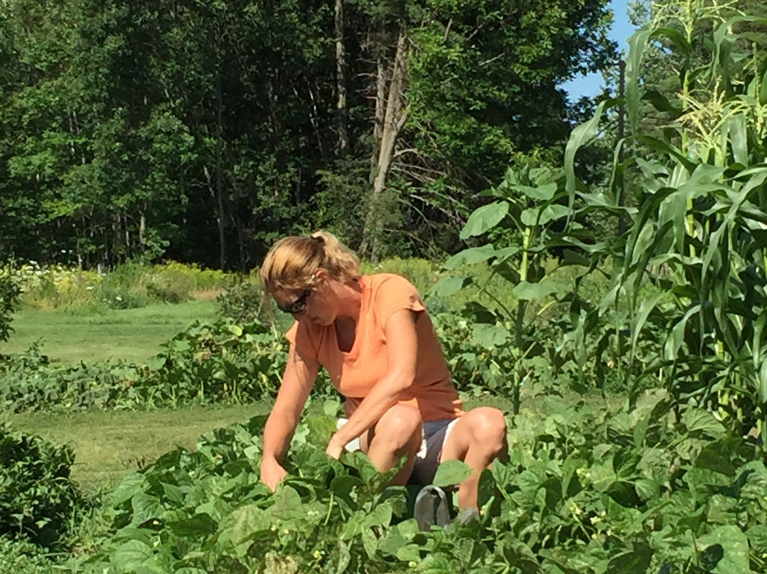 The Roost Bed & Breakfast主图