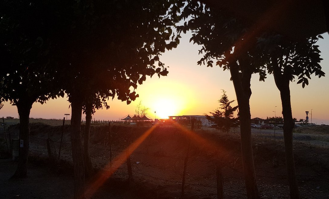 Villaggio Camping Orchidea