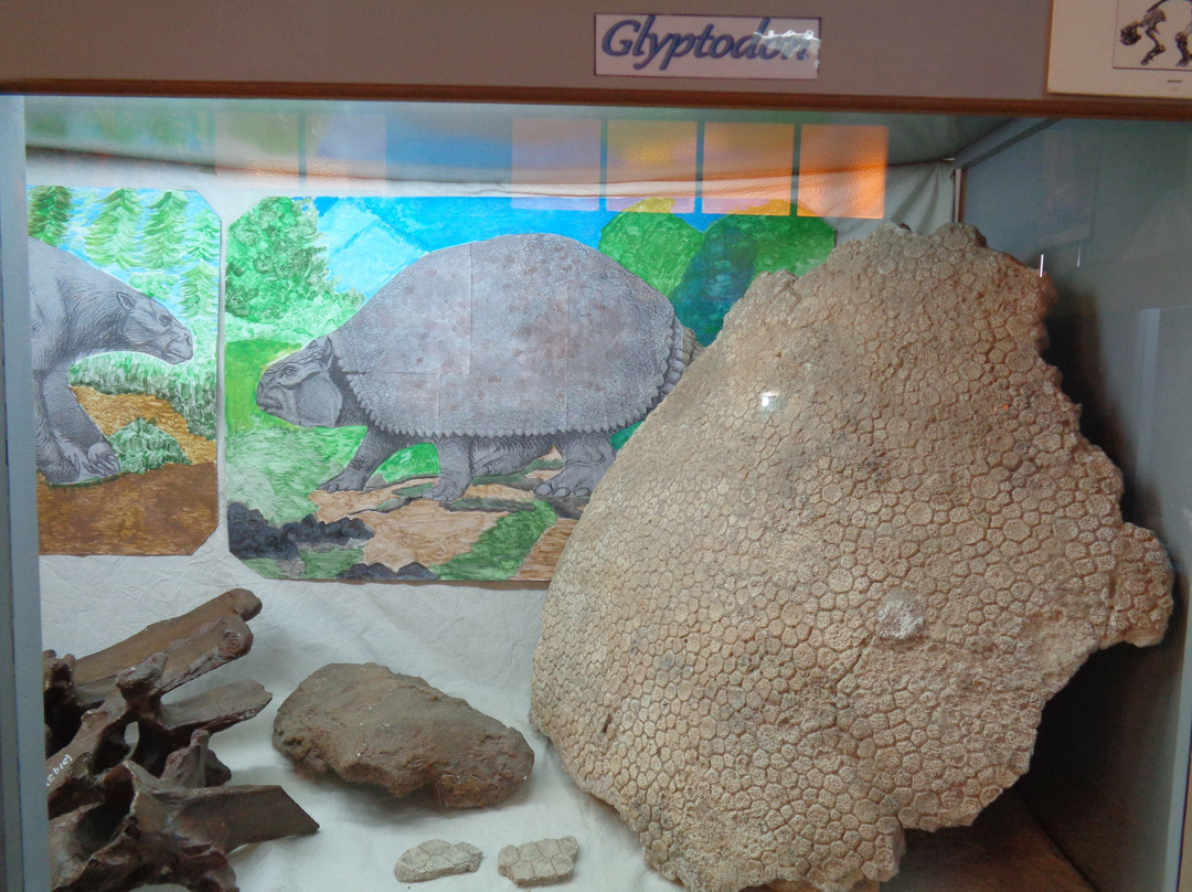 Museum of Natural Sciences景点图片