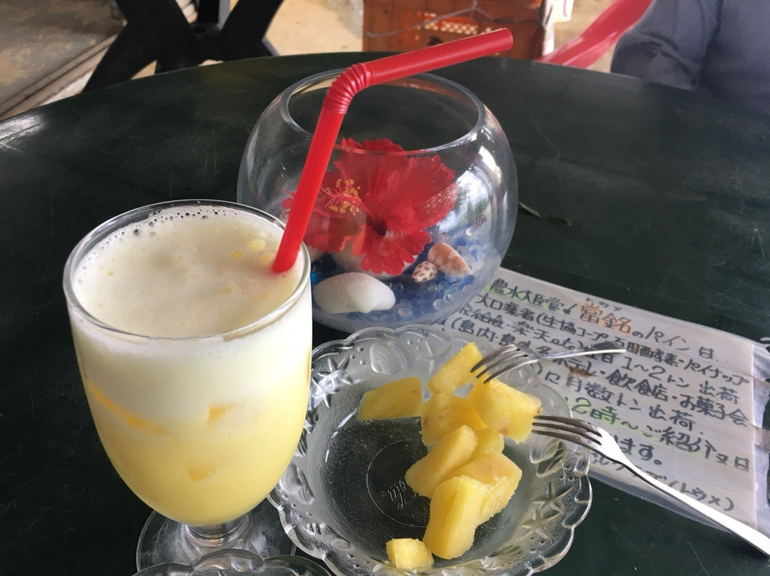 Ishigakijima Pineapple Club景点图片