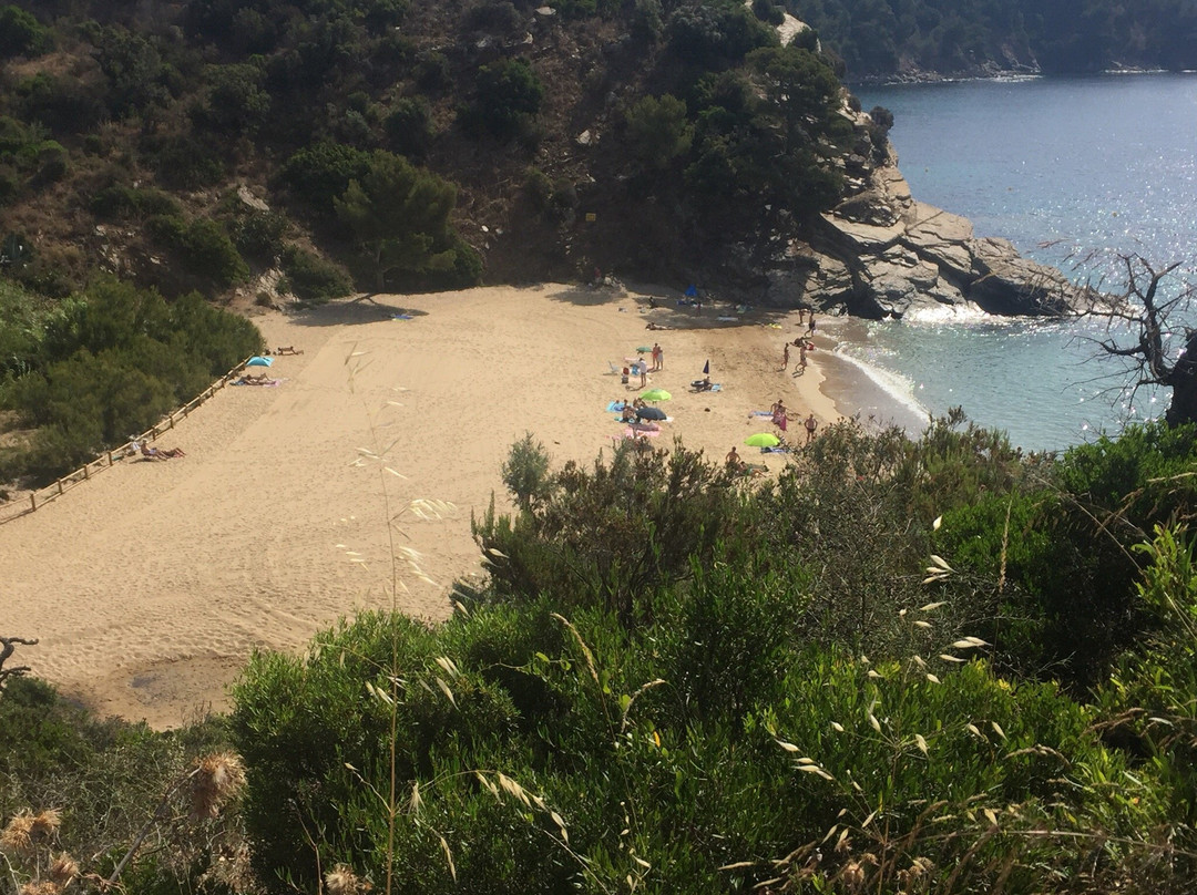 Plage de Bonporteau景点图片