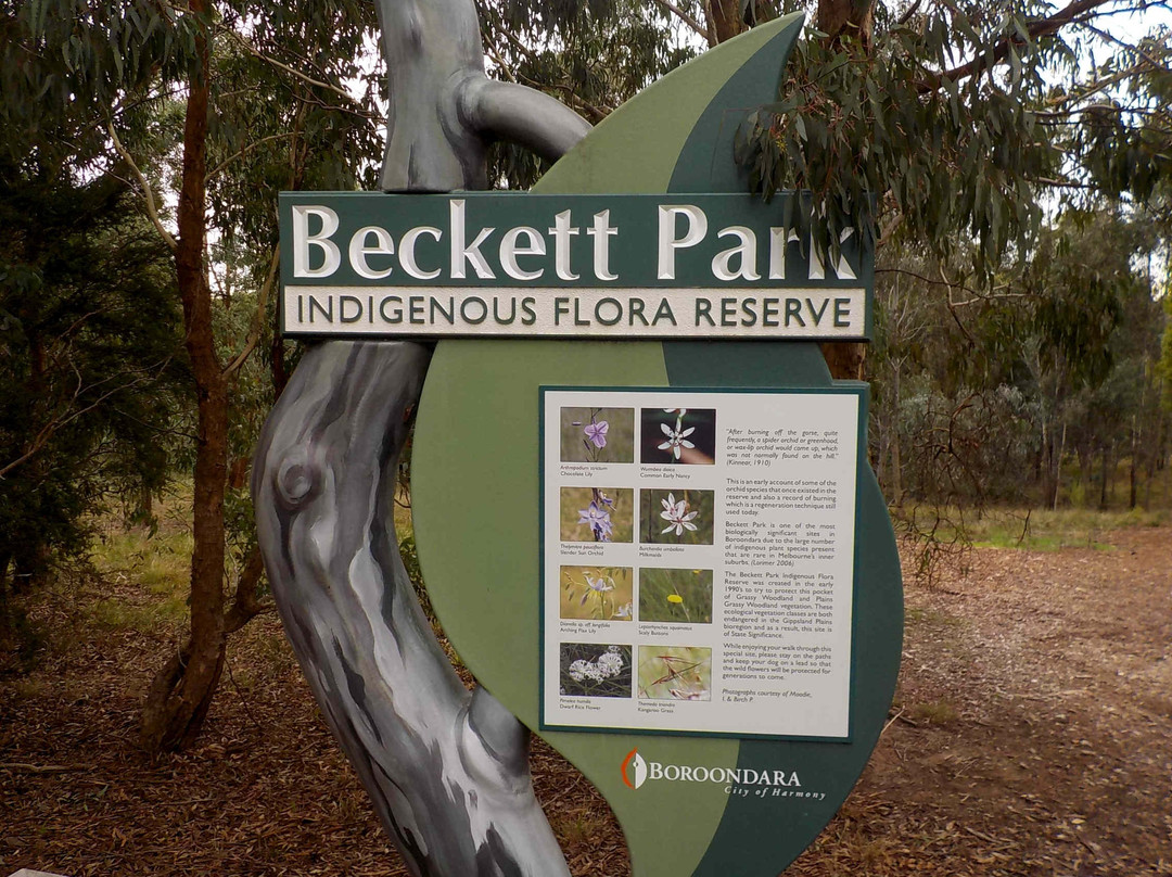 Beckett Park景点图片