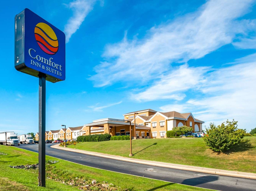 Comfort Inn & Suites主图
