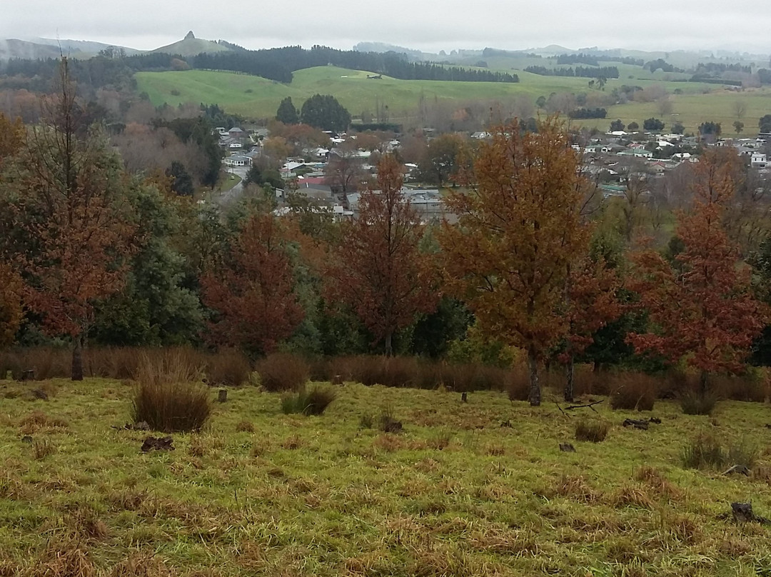 Findlay's Lookout Track景点图片