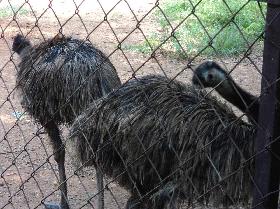 Indira Gandhi Zoological Park景点图片